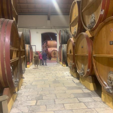 La Mimosa Case Vacanze Marsala Dış mekan fotoğraf