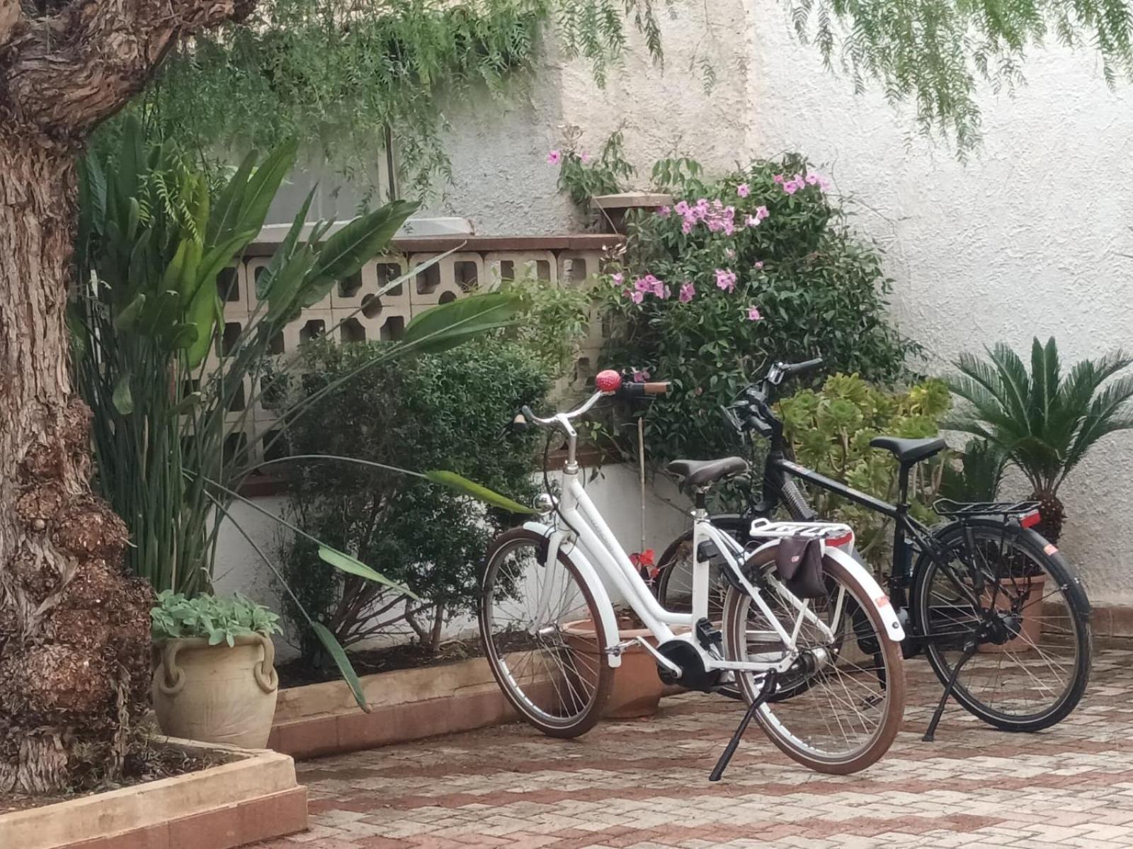 La Mimosa Case Vacanze Marsala Dış mekan fotoğraf