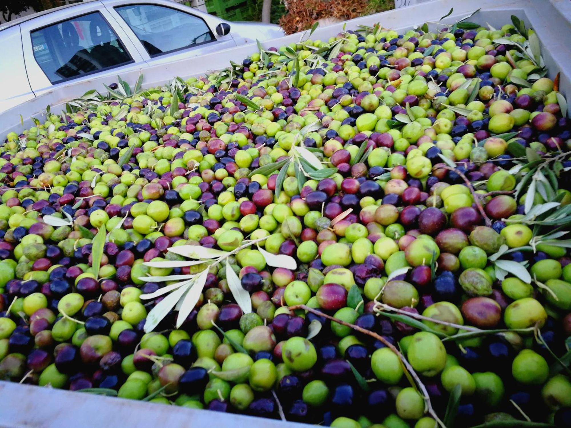 La Mimosa Case Vacanze Marsala Dış mekan fotoğraf