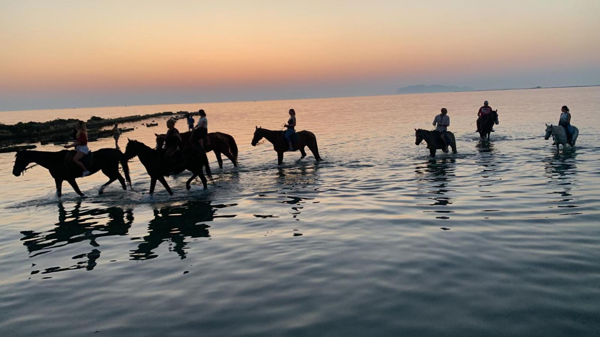 La Mimosa Case Vacanze Marsala Dış mekan fotoğraf