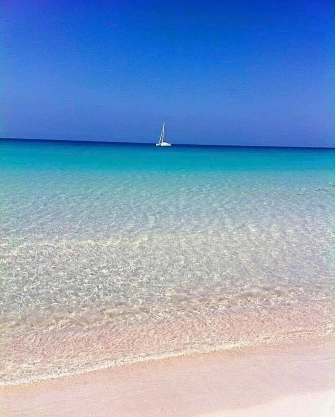 La Mimosa Case Vacanze Marsala Dış mekan fotoğraf