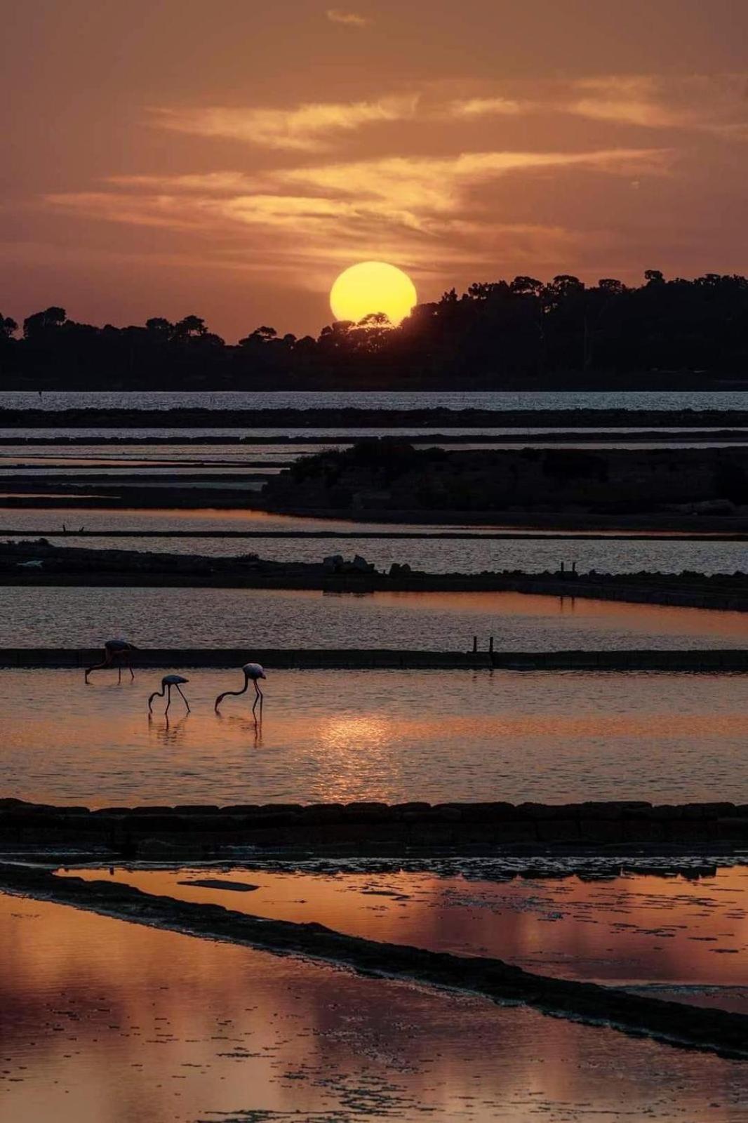 La Mimosa Case Vacanze Marsala Dış mekan fotoğraf