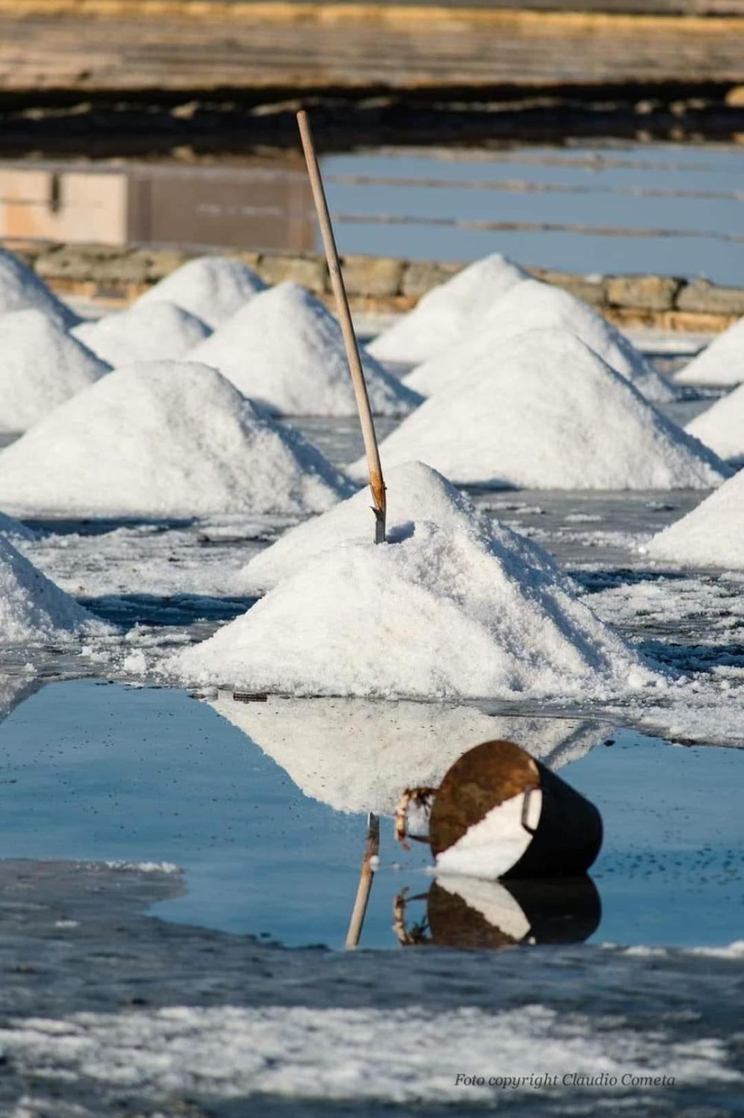La Mimosa Case Vacanze Marsala Dış mekan fotoğraf