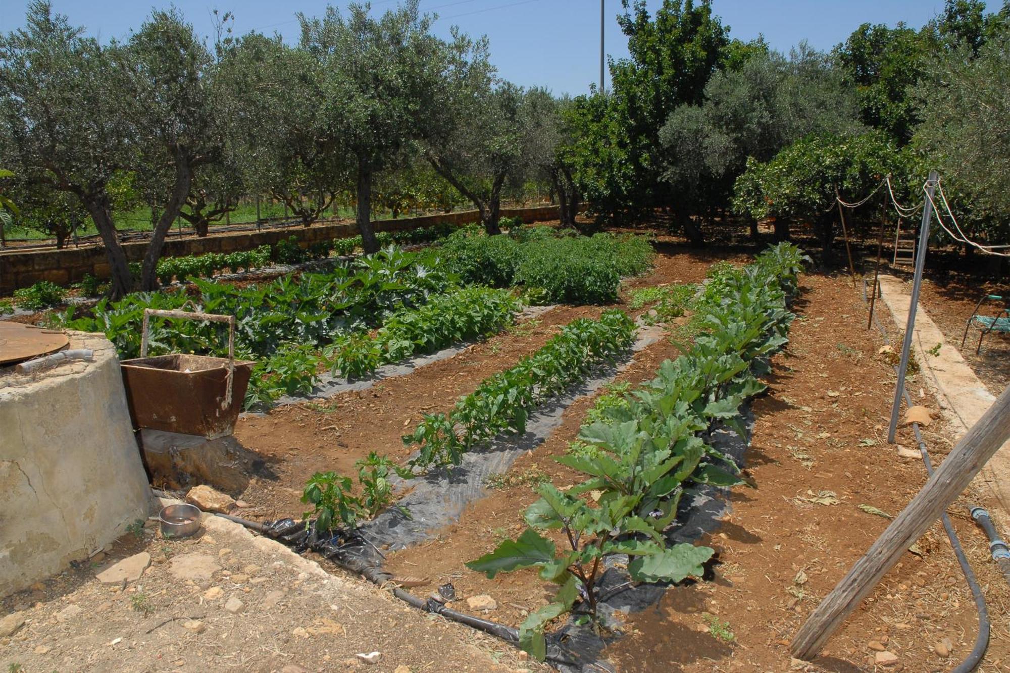 La Mimosa Case Vacanze Marsala Dış mekan fotoğraf
