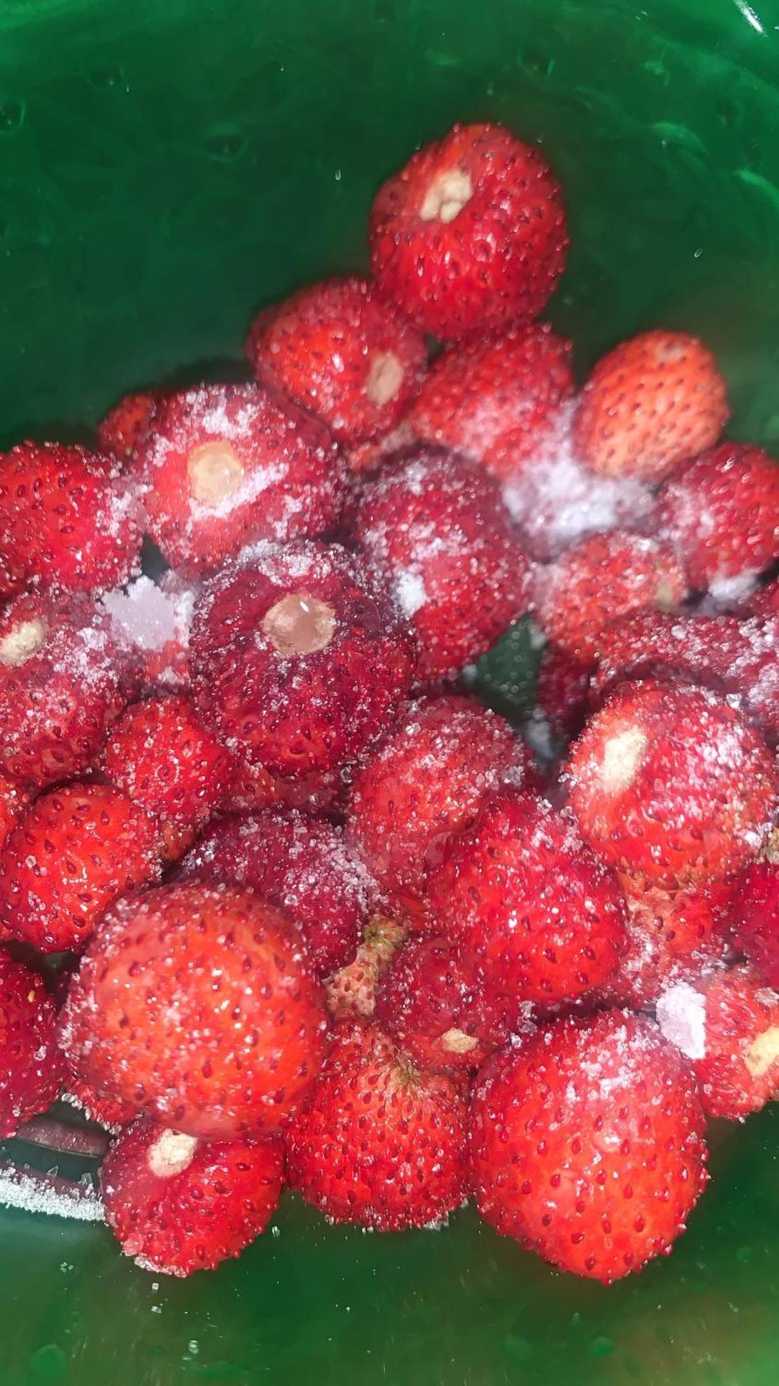 La Mimosa Case Vacanze Marsala Dış mekan fotoğraf